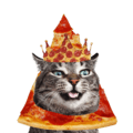 pizzacat100